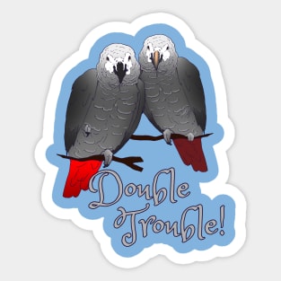 Congo and Timneh African Grey Parrot DoubleTrouble Sticker